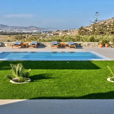 Leo - Unique & Calm *