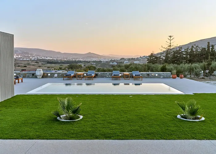 Leo - Unique & Calm Paro