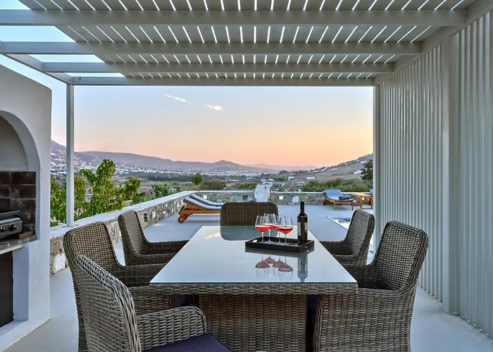 Leo - Unique & Calm Paro