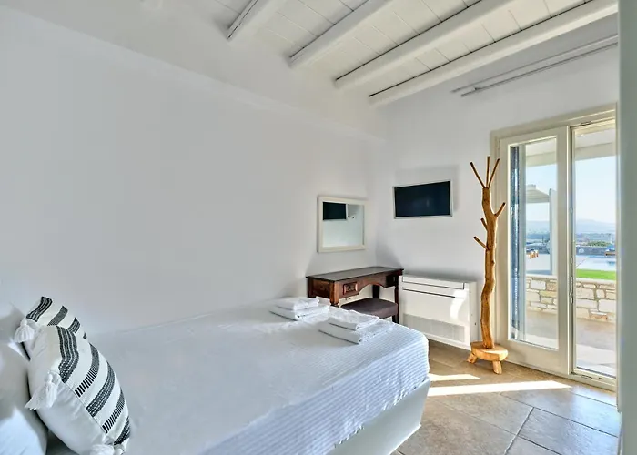 Leo - Unique & Calm Paro